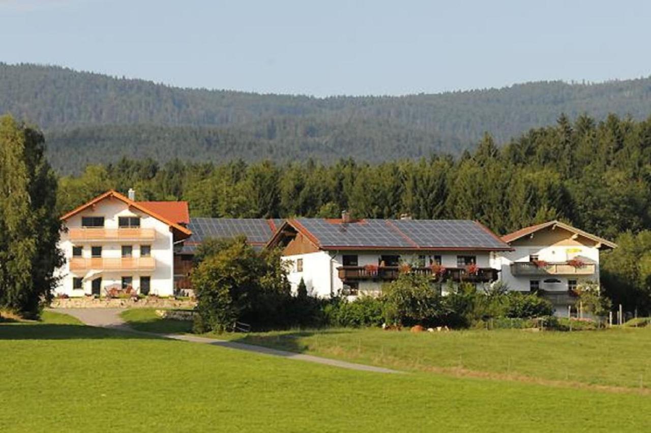 Exenbacher Hof - Pension Arnbruck Esterno foto