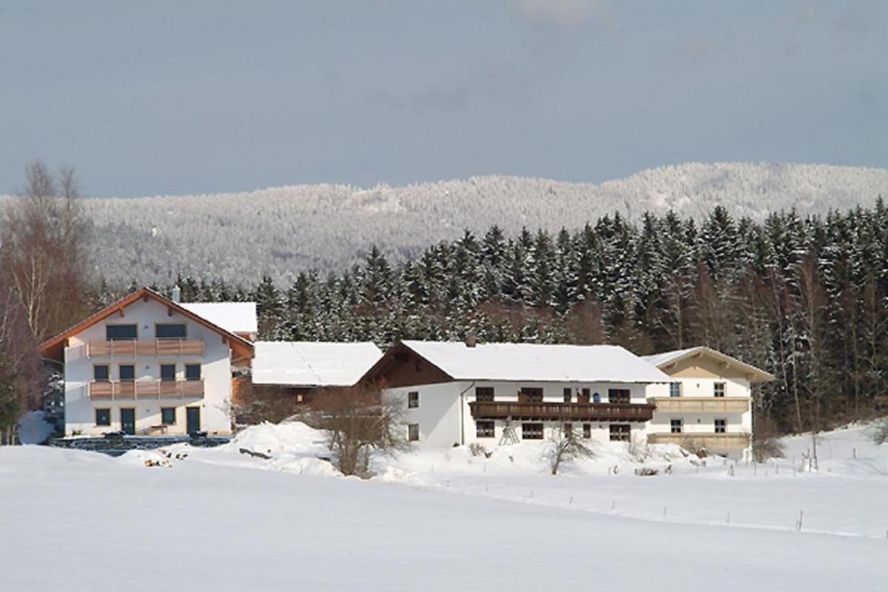 Exenbacher Hof - Pension Arnbruck Esterno foto