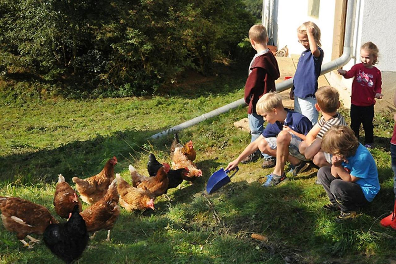Exenbacher Hof - Pension Arnbruck Esterno foto