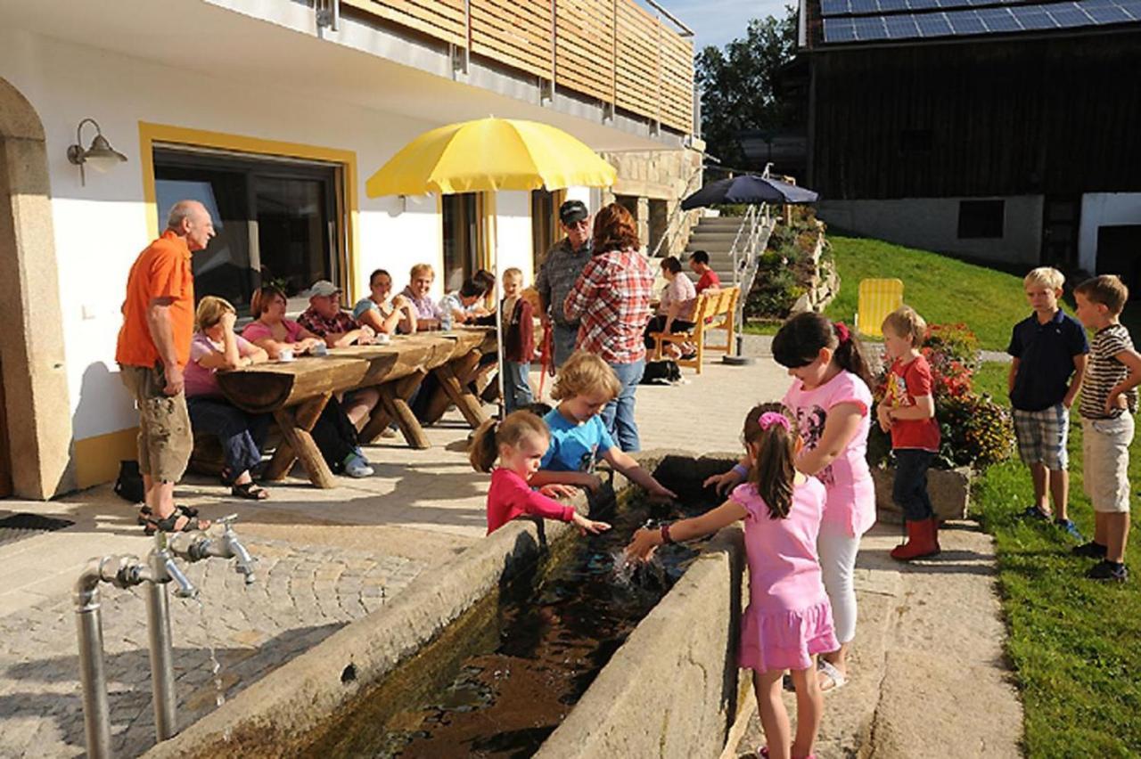 Exenbacher Hof - Pension Arnbruck Esterno foto